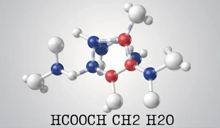 HCOOCH2 Ch2 H2O: Exploring the Interactions Between Esters and Water