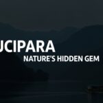 Lucipara: The Enigma of Nature’s Hidden Gem