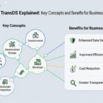 TransDS Explained: Key Concepts and Benefits for Businesses